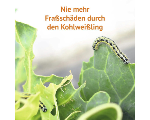 My Harvest Gewasbeschermingsnet 4 x 2 m UV-gestabiliseerd PE Gewicht ca. 65 g/m² Maaswijdte 0,8 x 0,8 mm transparant