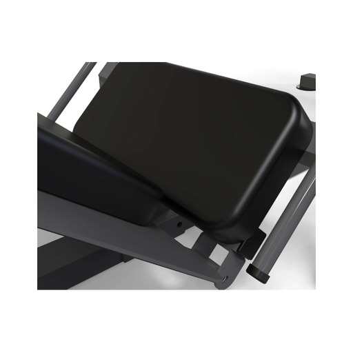 Máquina de agachamento e leg press Ion Fitness