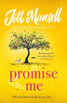Promise Me (Paperback)