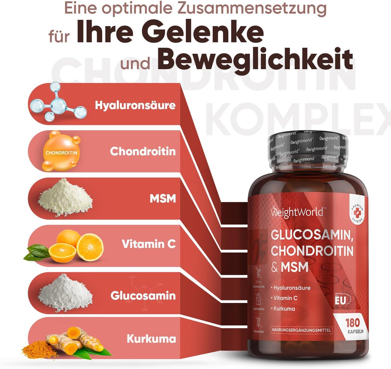 WeightWorld Glucosamin Chondroitin MSM