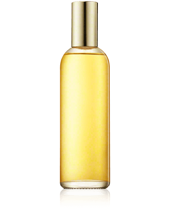 Nina Ricci L'Air du Temps edt vapo refill 100ml