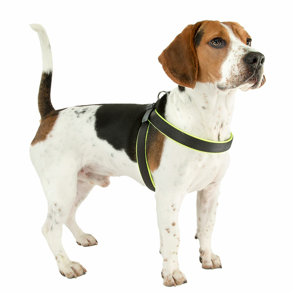 Ferplast harnais ergonomique pour chiens agila fluo 5, ajustement parfait, fermeture à double micro-régulation, rembourrage
