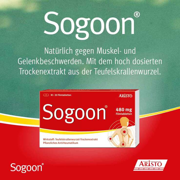 Sogoon Teufelskralle Filmtabletten , 20 St