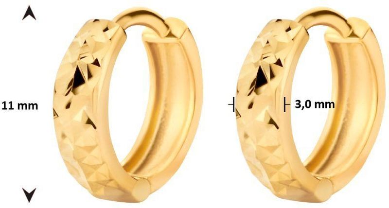 Goud - Klapoorringen - Gediamanteerd - 3,0 mm