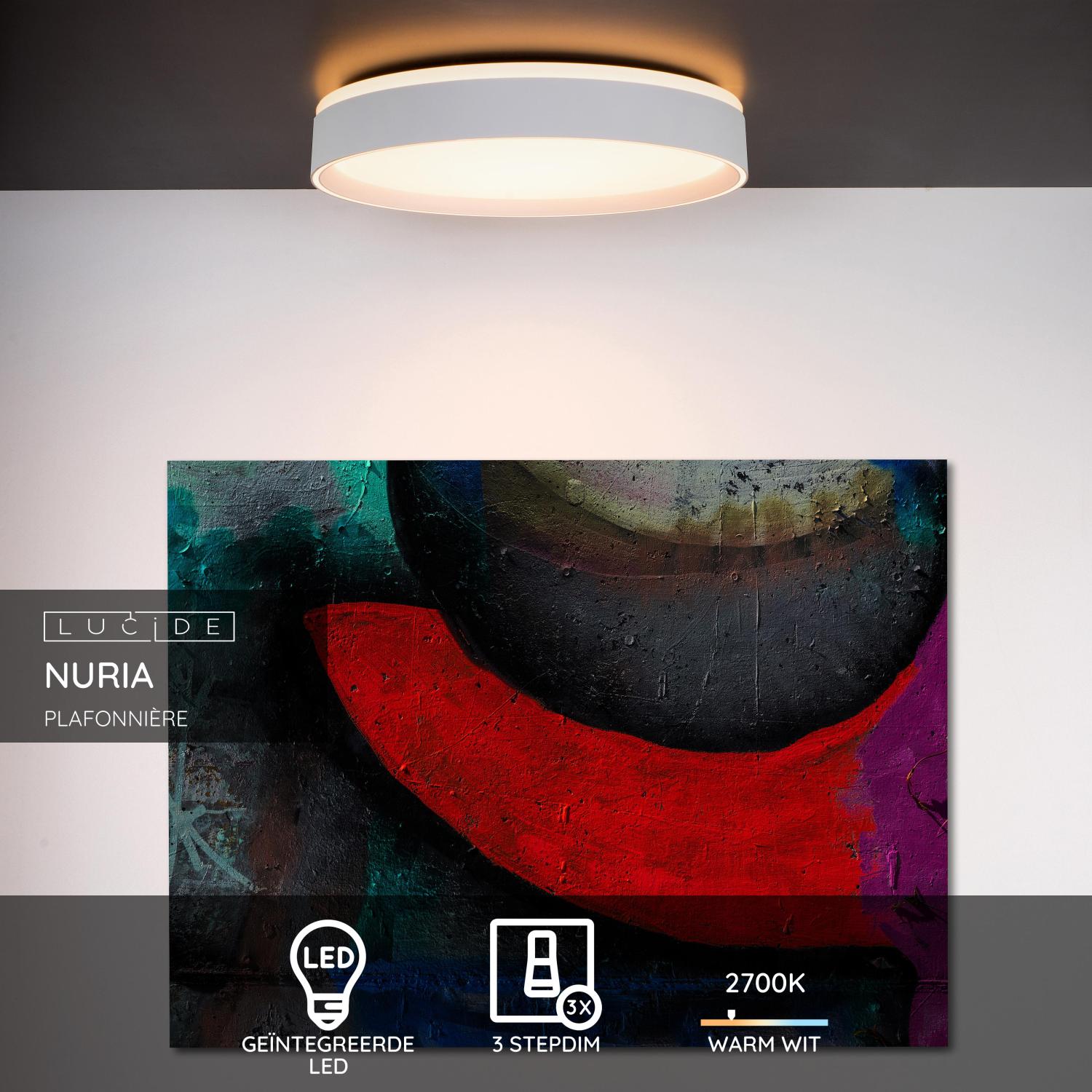 Nuria plafondlamp LED Ã30 wit