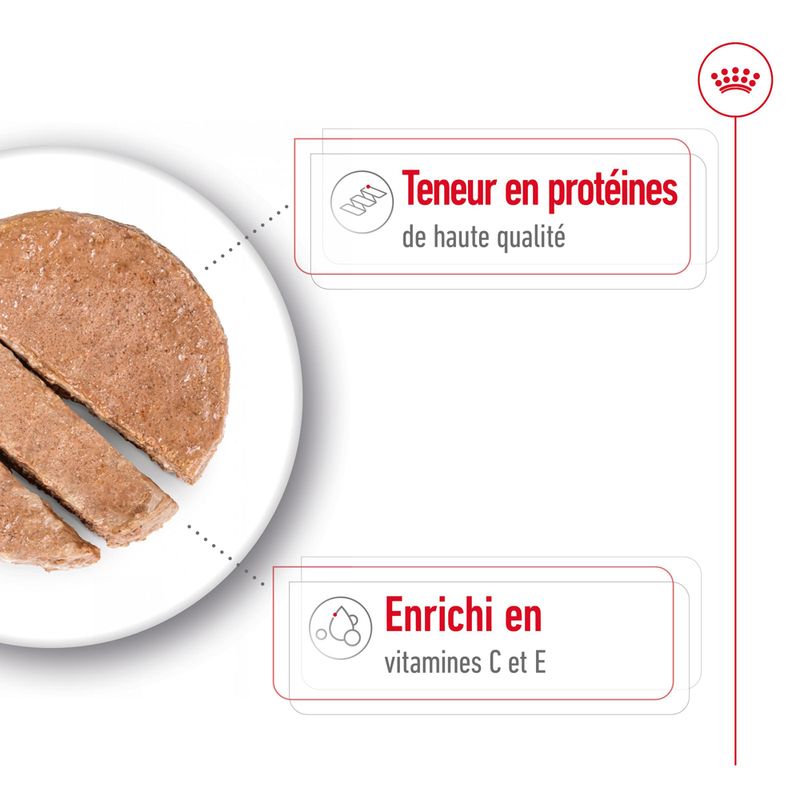 Royal Canin Medium Adult Mousse