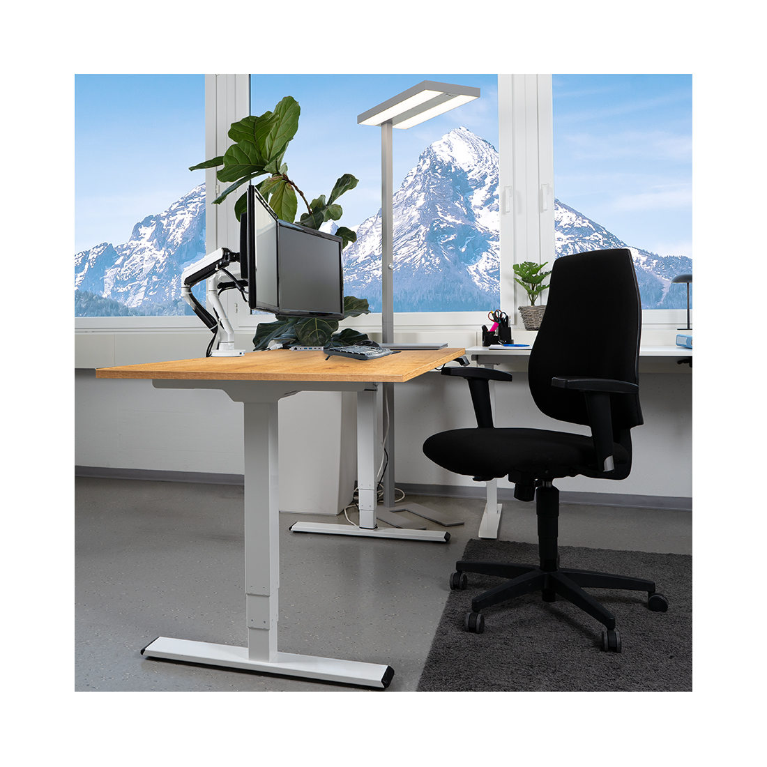 Contini höhenverstellbarer Bürotisch 1.6 x 0.8 m Eichendekor / Gestell weiss