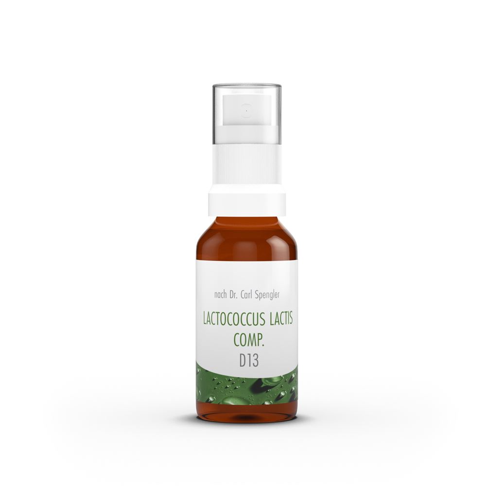 SPENGLER Lactococcus lactis comp. Spray 13 D Fl 20 ml