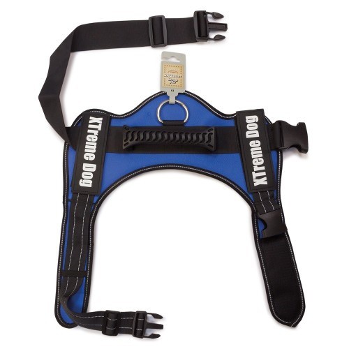 Coleira para cães Arquivet Xtreme, azul