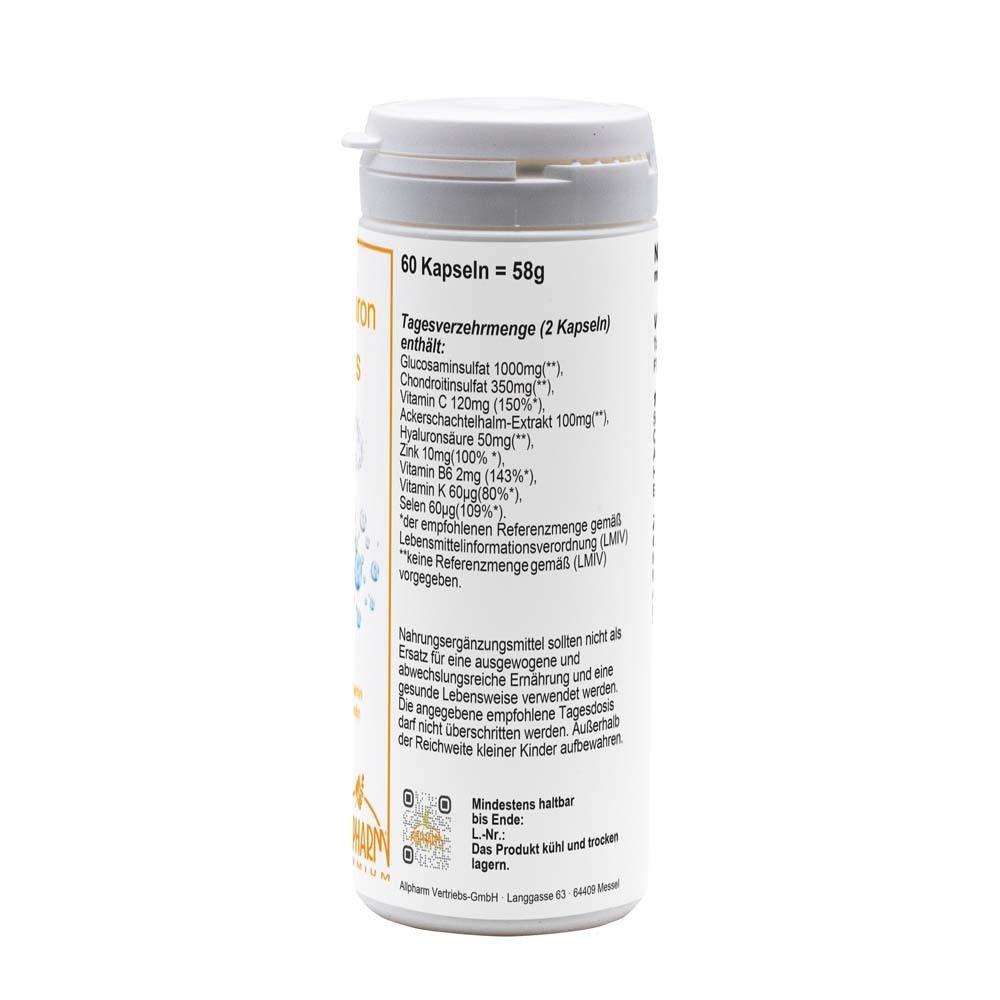Glucosamin Chondroitin Hyaluron Plus