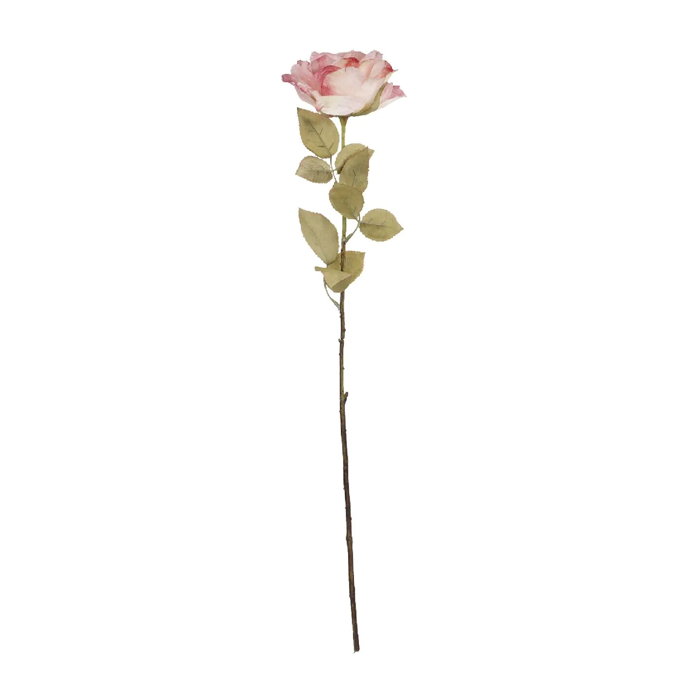 Rose Theresa, rosa, 63 cm