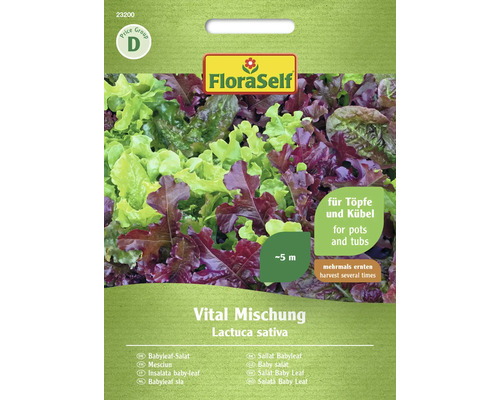 Snij-en-kom-weer sla/losse blad sla FloraZelf-open-bestuiving sla zaden