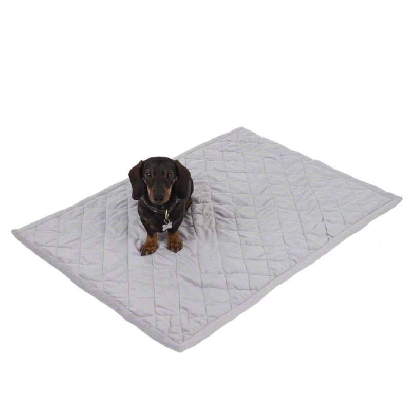 Couverture Velvet pour chien et chat