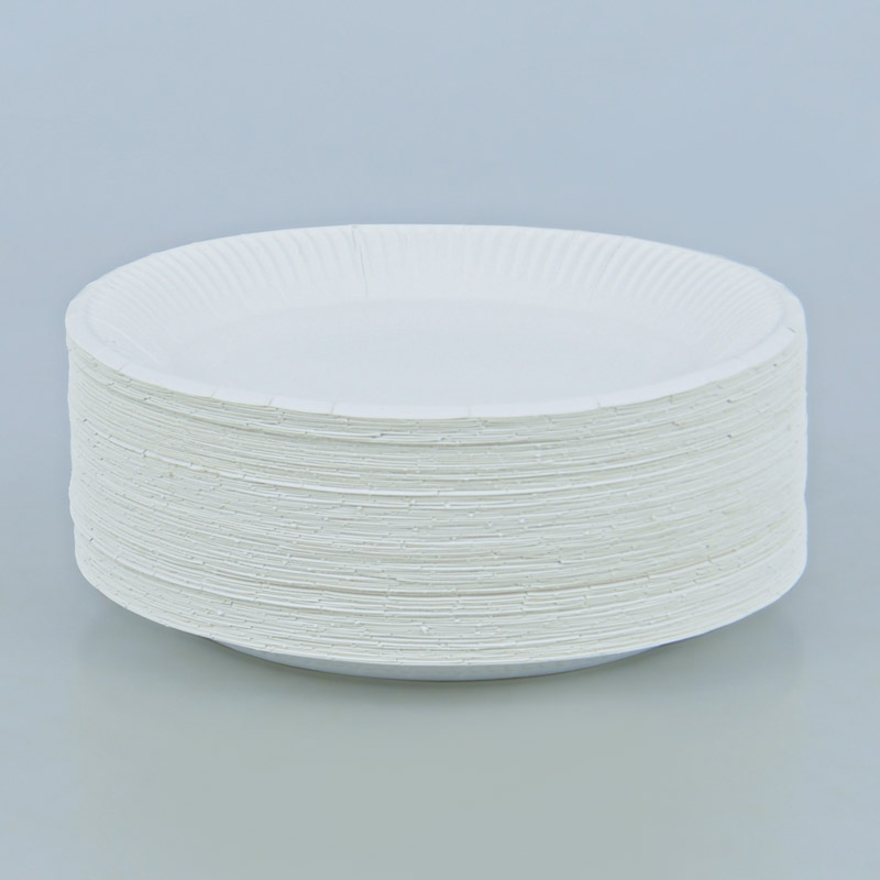 Lot de 100 assiettes en carton blanc