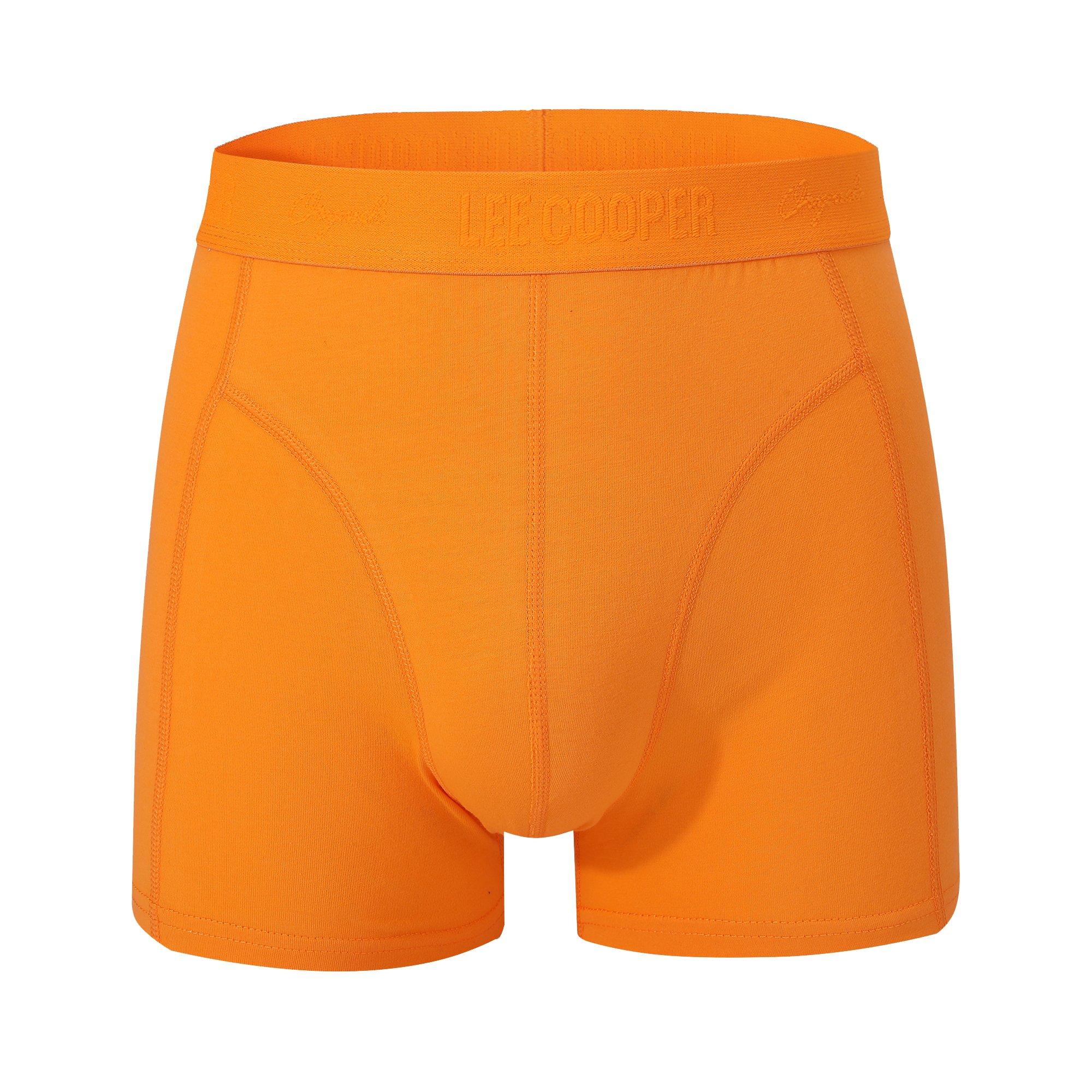 Lee Cooper Mens 10-Pack Hipster Trunks
