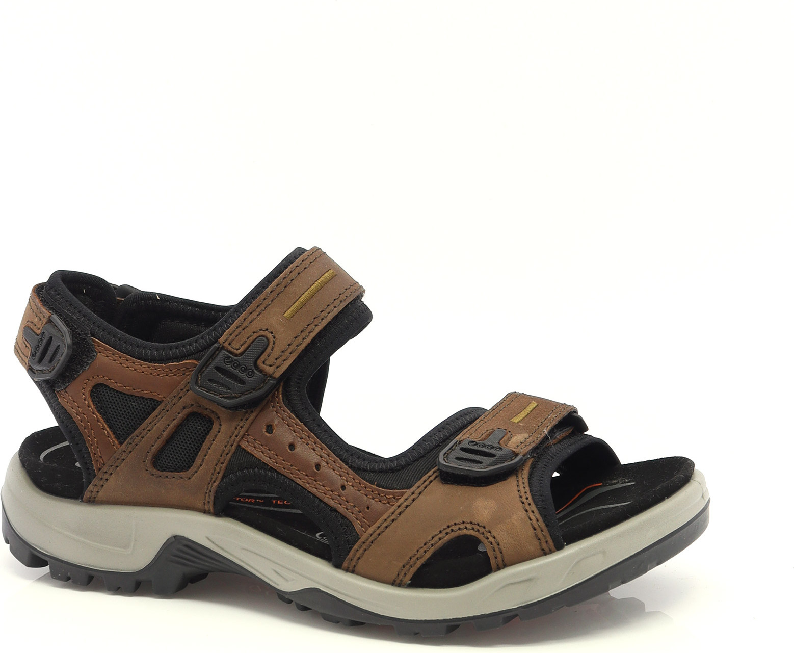 81452 ECCO