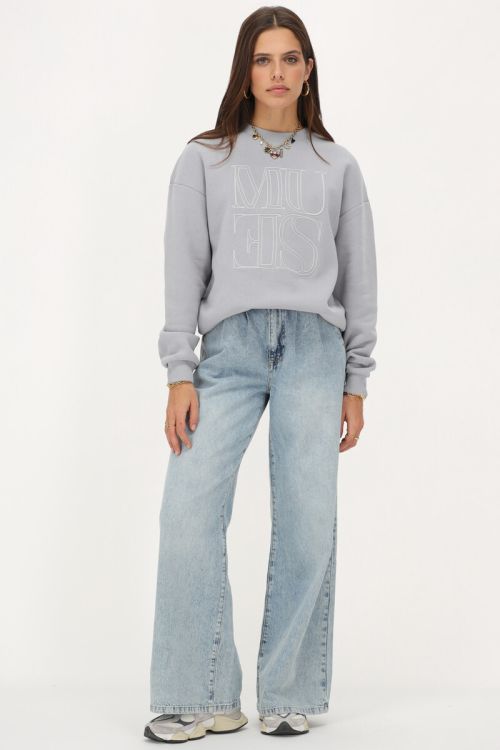 Lichtgrijze sweater 