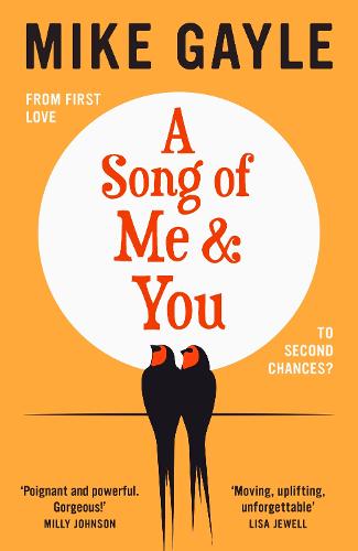 A Song of Me and You (Hardback)