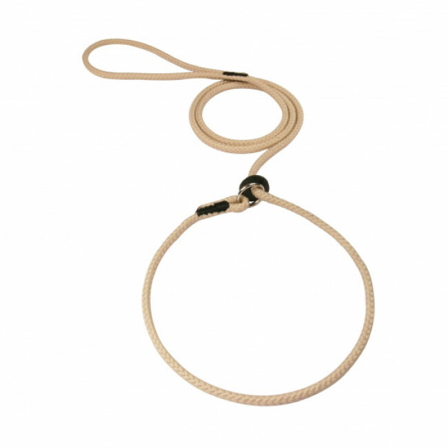 Laisse lasso ronde en corde tressée