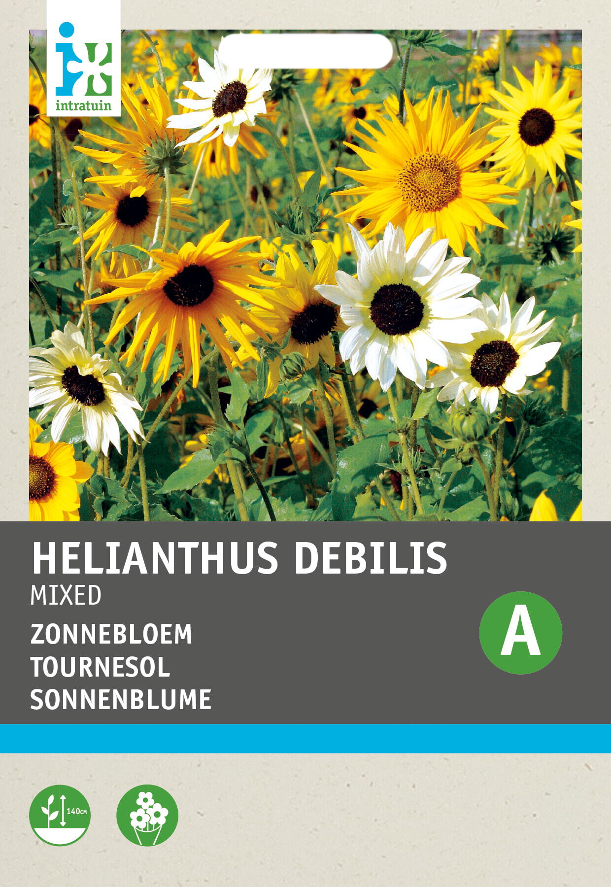 Intratuin bloemenzaad Zonnebloem mengsel (Helianthus annuus)