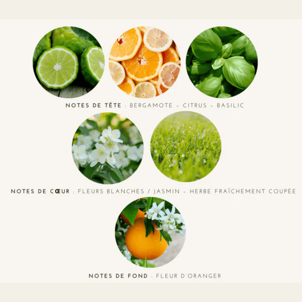Les Happycuriennes Parfum Solide Apaisant Floral Fruité - Cueillir l’Instant Présent&nbsp; 15g