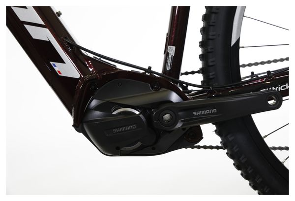 Vélo d'Exposition - VTT Électrique Semi-Rigide Sunn Flash S2 Shimano Altus 9V 500 Wh 29'' Bordeau 2022