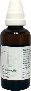 VSM Teucrium Marum Verum D1 50 ML