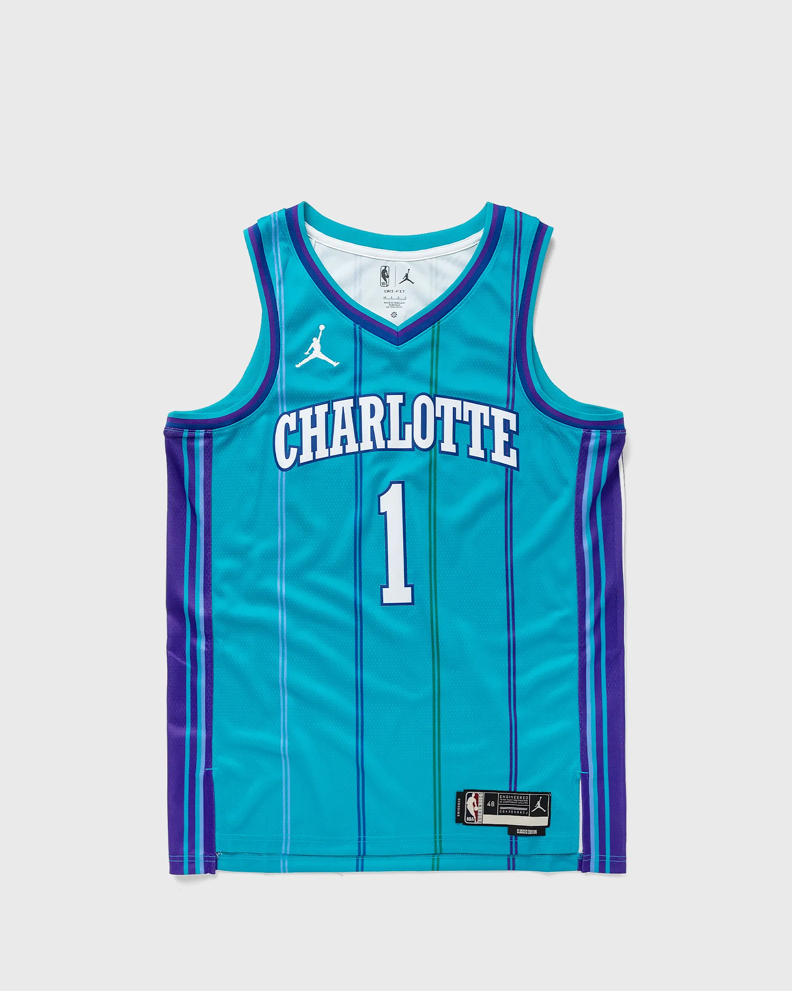 Nike Charlotte Hornets 2023/24 Dri-FIT NBA Swingman Jersey