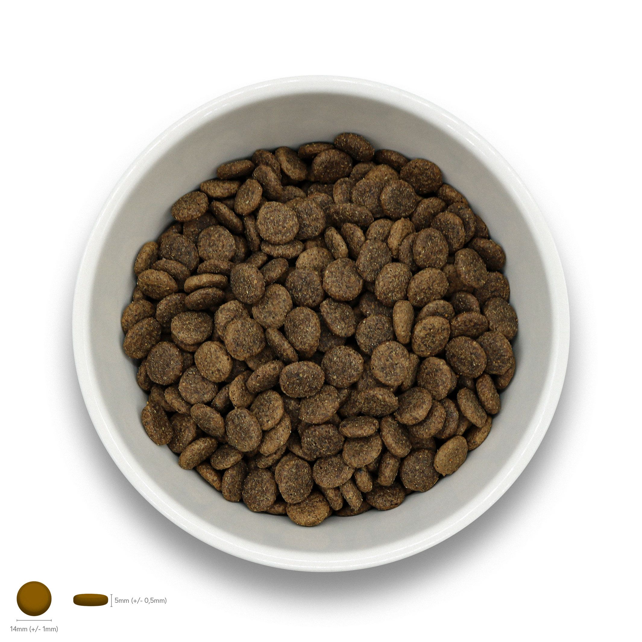 Sollis Trockenfutter für Hunde – Rind-Regular