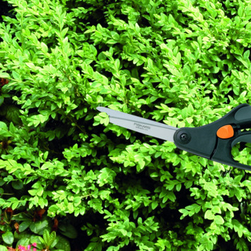 Fiskars buxus snoeischaar