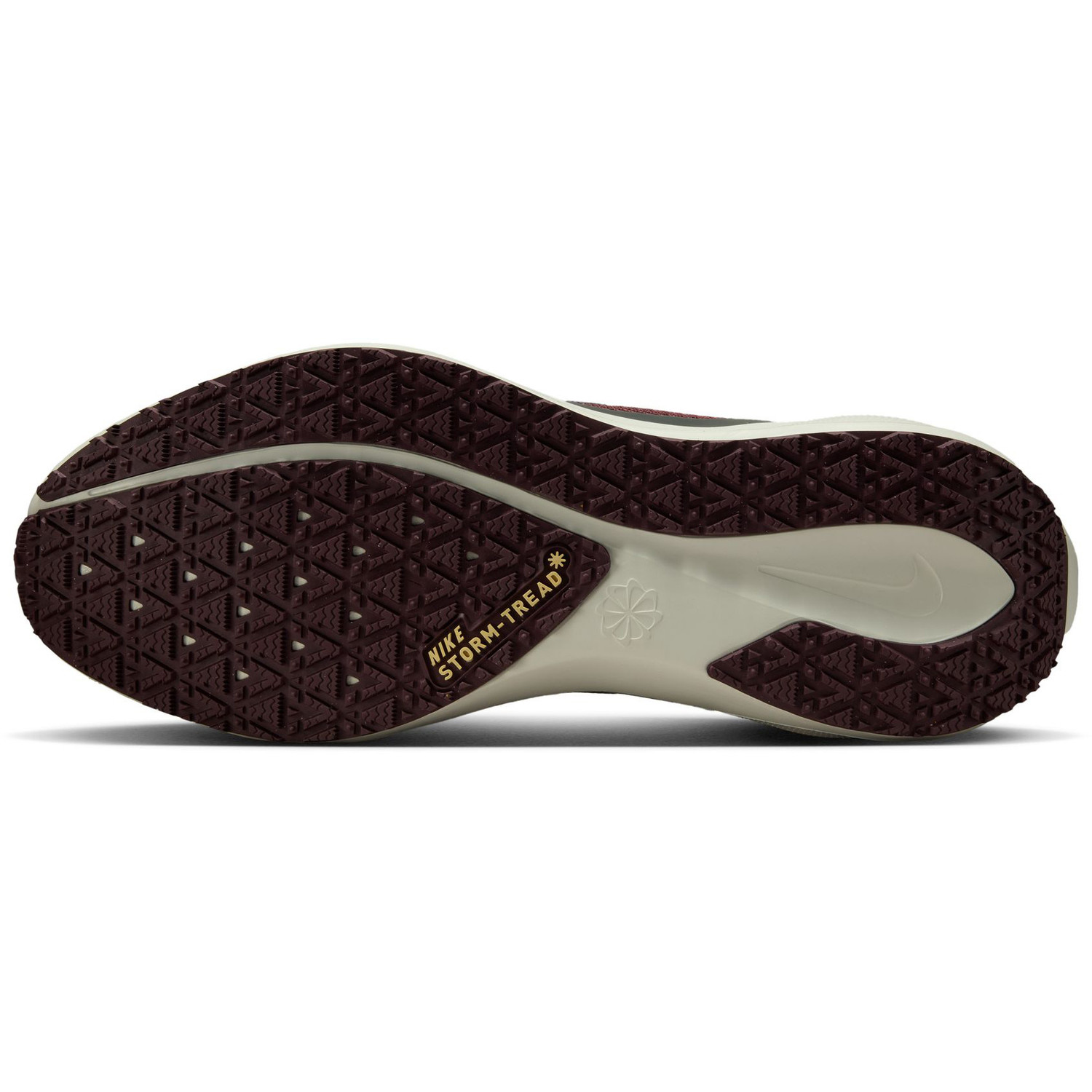 Nike Pegasus 41 GTX Heren