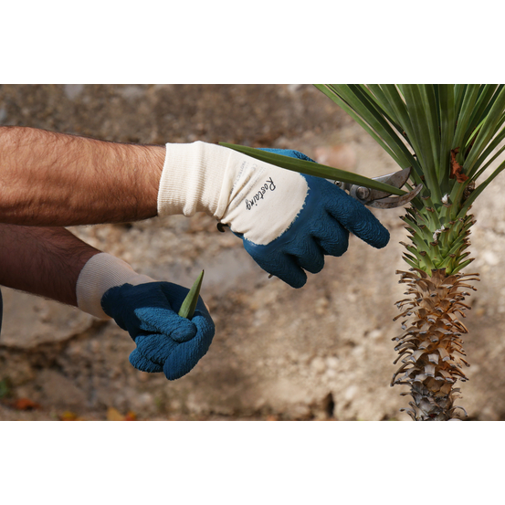 Gant Rosiers Epineux Plantation protect T9