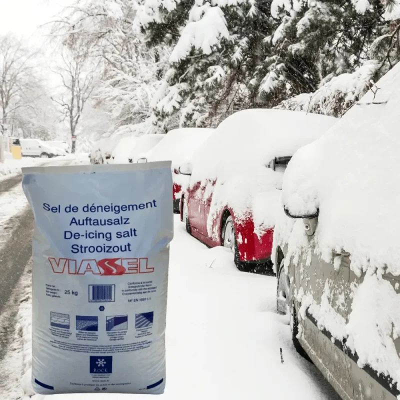 Salins - Sel de déneigement - 25kg