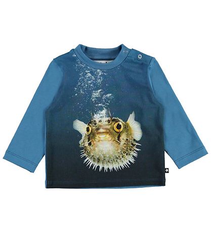 Molo Pullover - Enovan - Kugelfisch