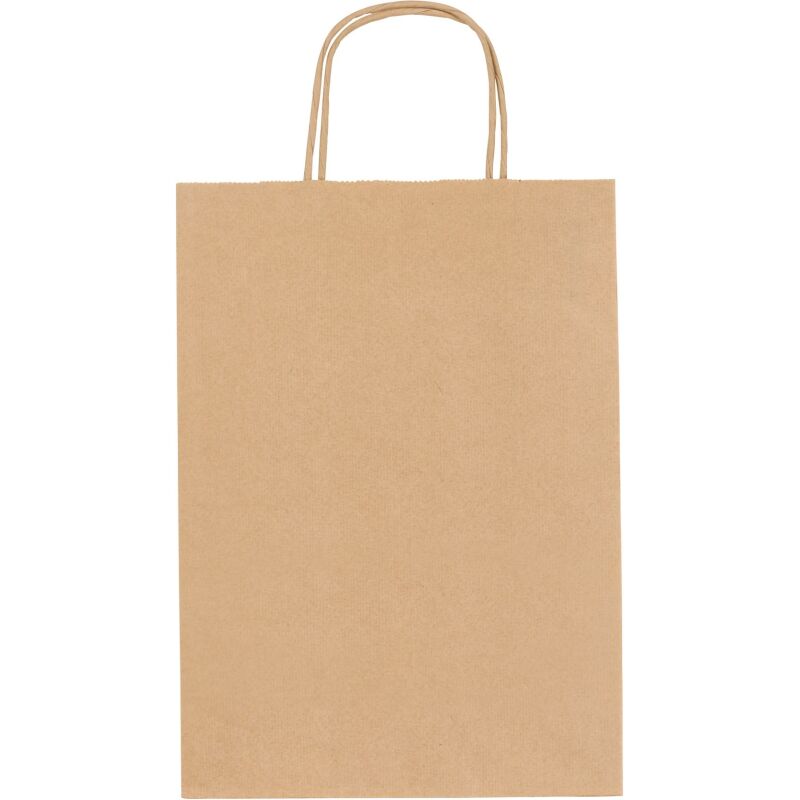 Sac kraft brun poignées torsadées qualité 90 g/m² - 50 sacs