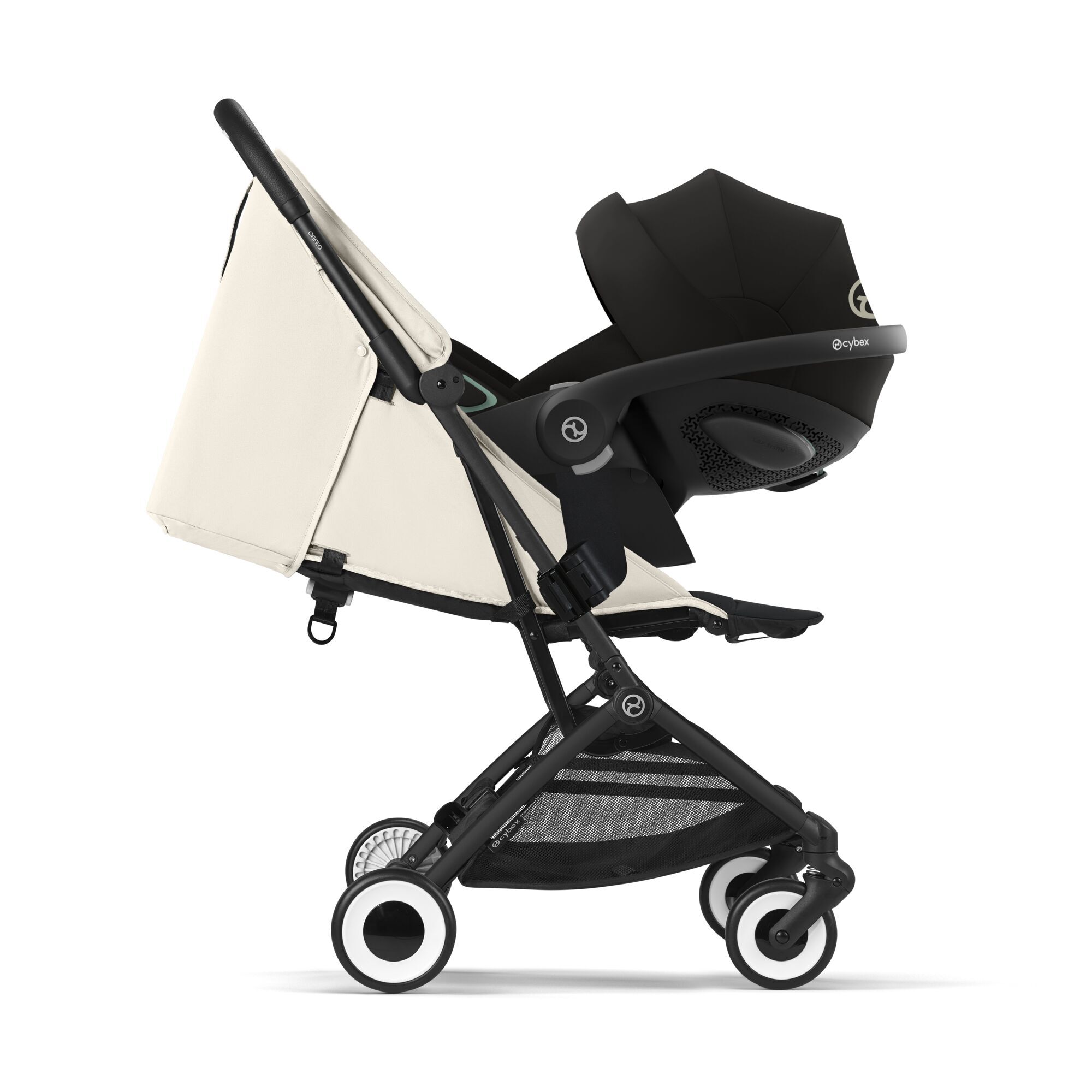 Orfeo Canvas White