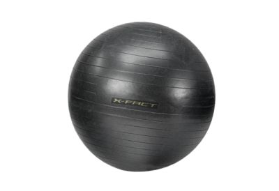 X FactGym Ball 55cm[K] - grau