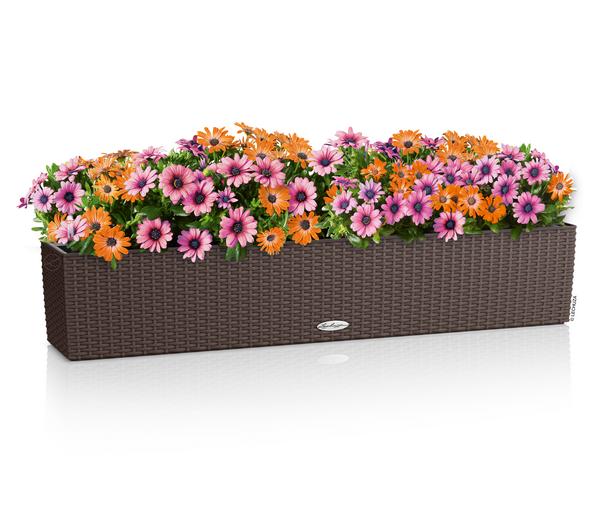 LECHUZA® Kunststoff-Kasten Balconera Cottage,