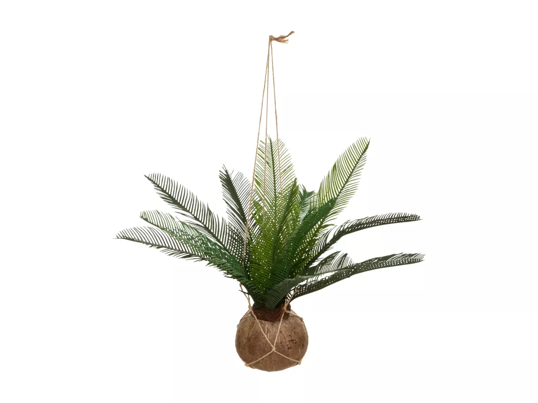 WELL HOME - Pot Cocotier Palmier de Cuba H 50