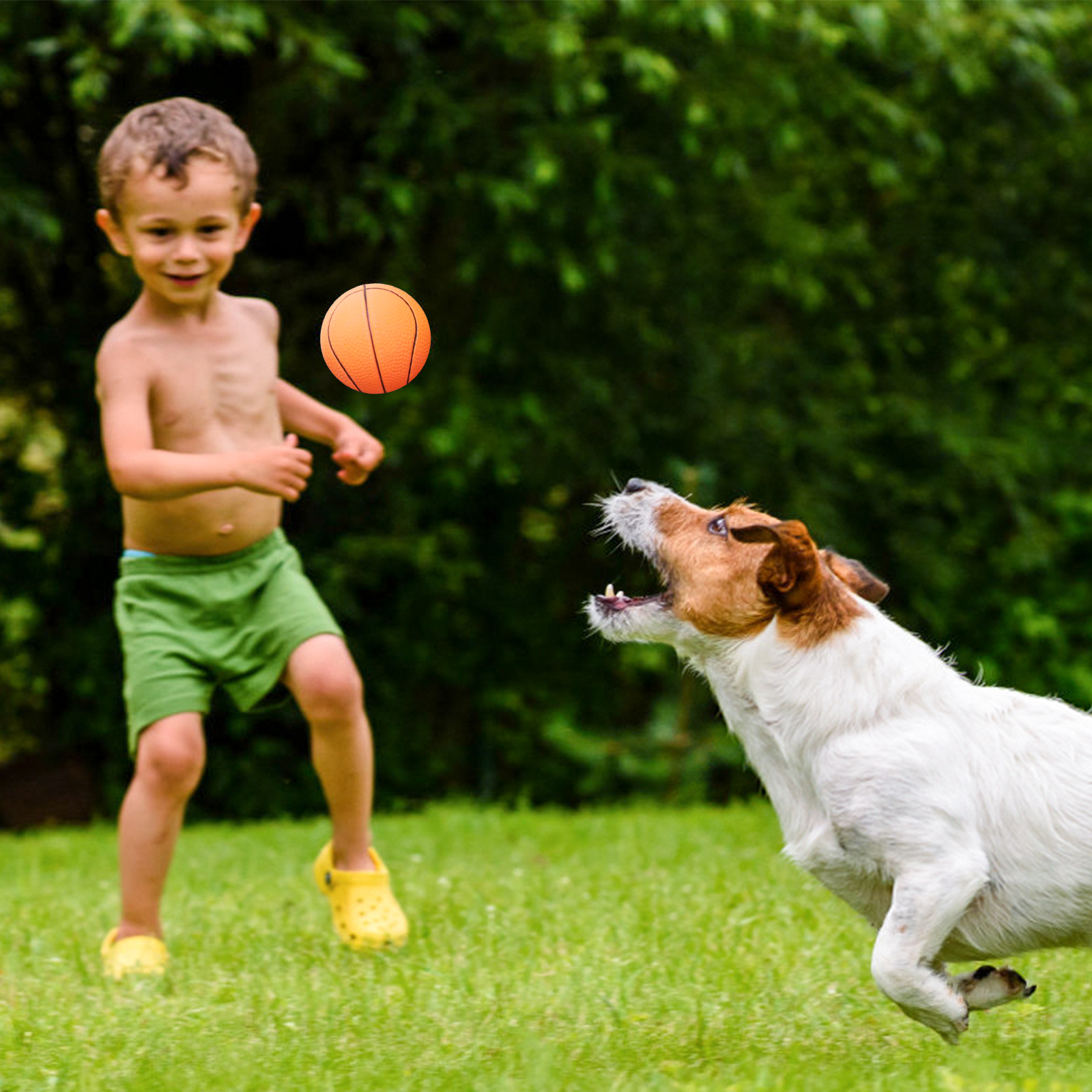 Bola para Cães Nobleza, Pacote com 6 Bolas Interativas para Cães, Bola de Borracha Natural Durável para Cães, Bola Interativa para Cães de Pequeno, Médio e Grande Porte, 7,2cm
