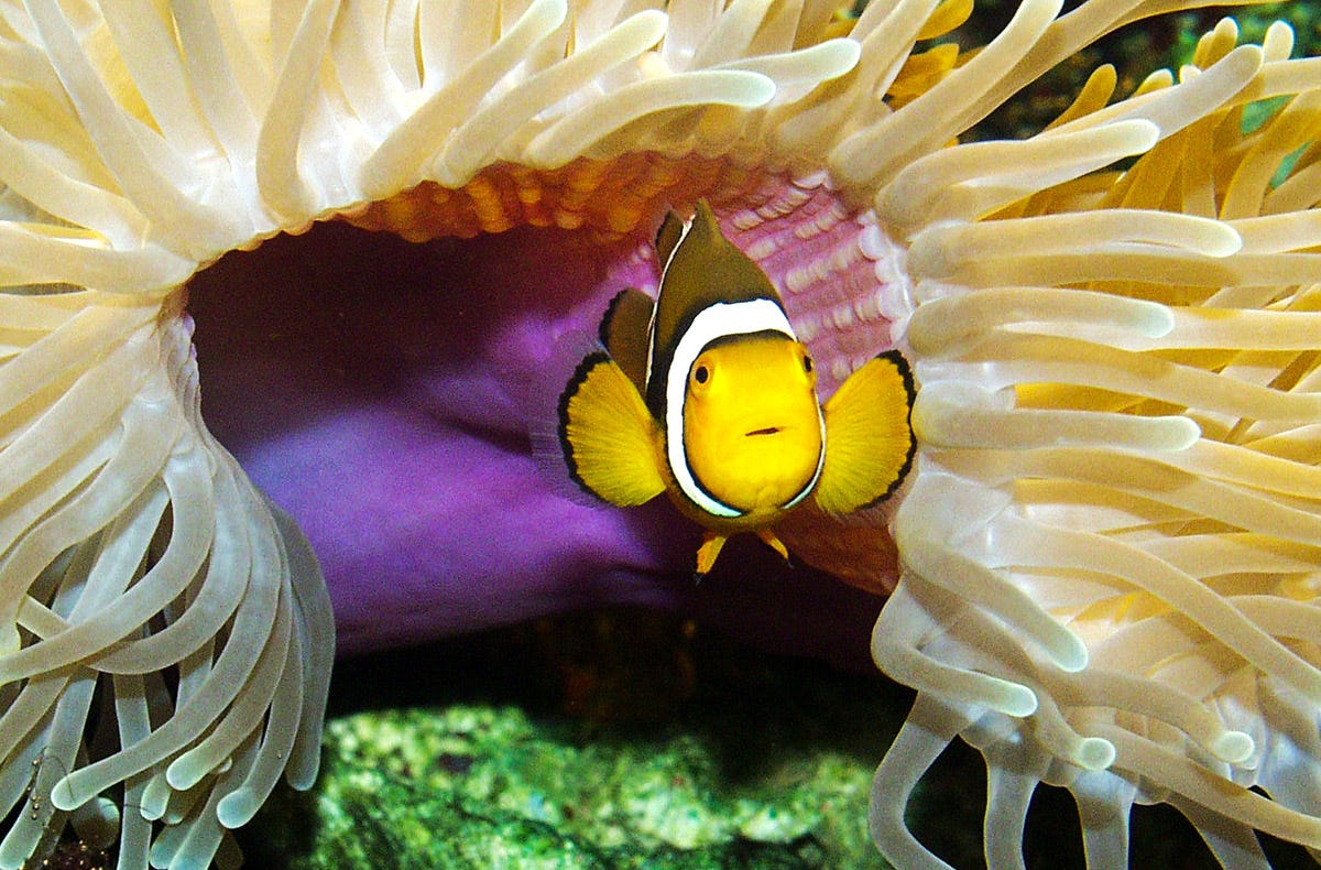 Sea Life Timmendorfer Strand