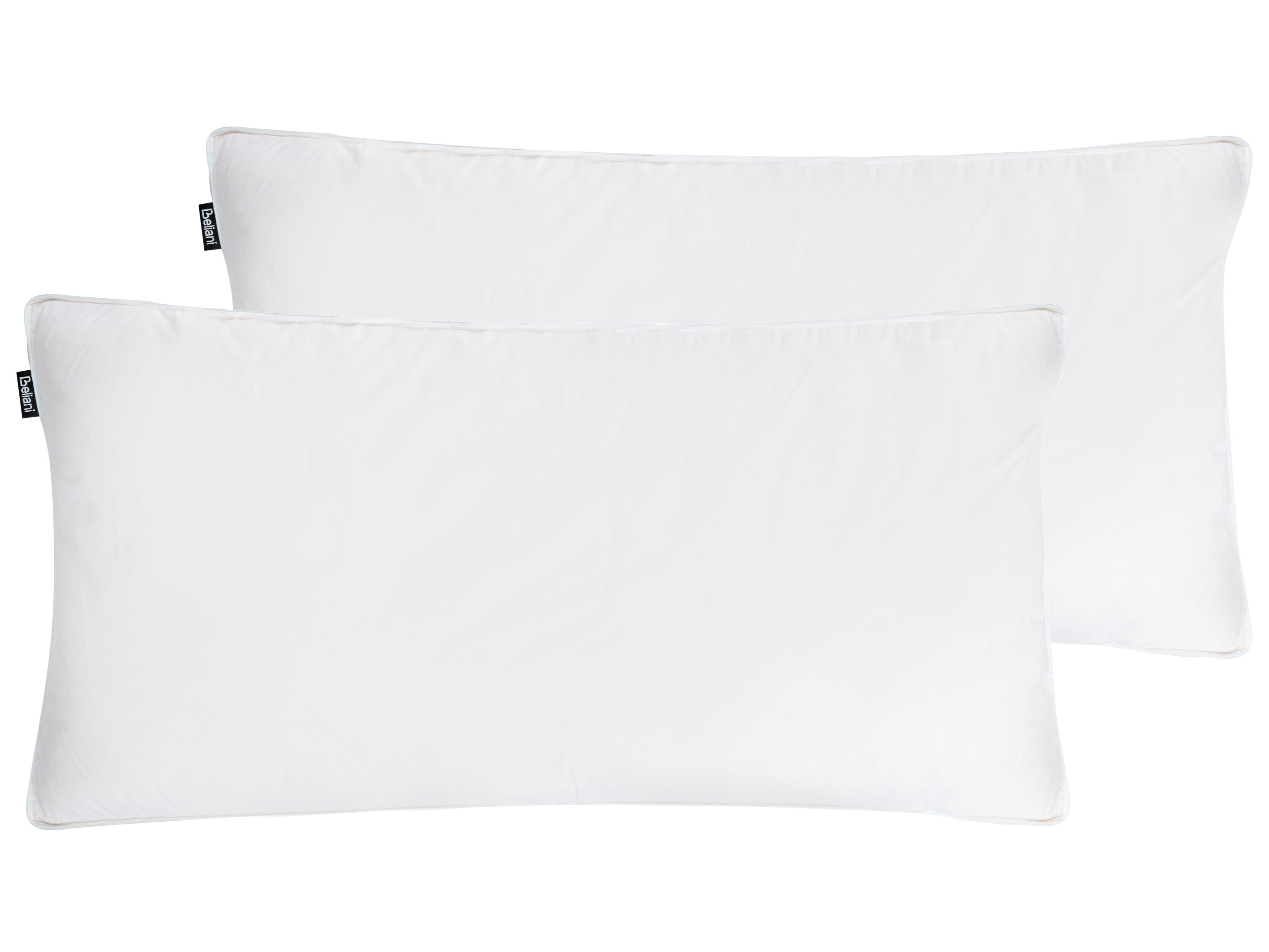 Set van 2 kussens VIHREN Laag Eendenveren en eendendons 40 x 80 cm Wit