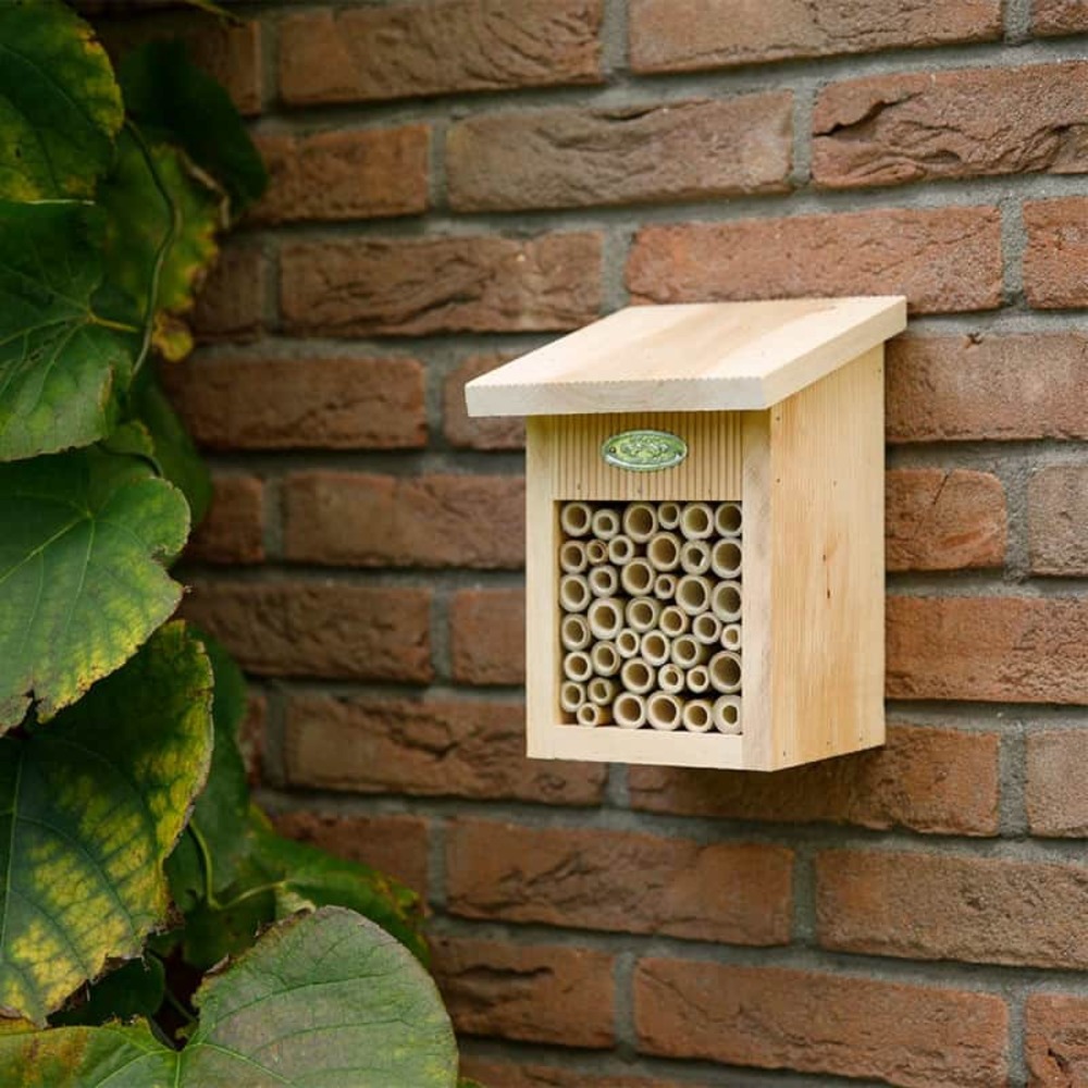 Abri abeilles bois naturel