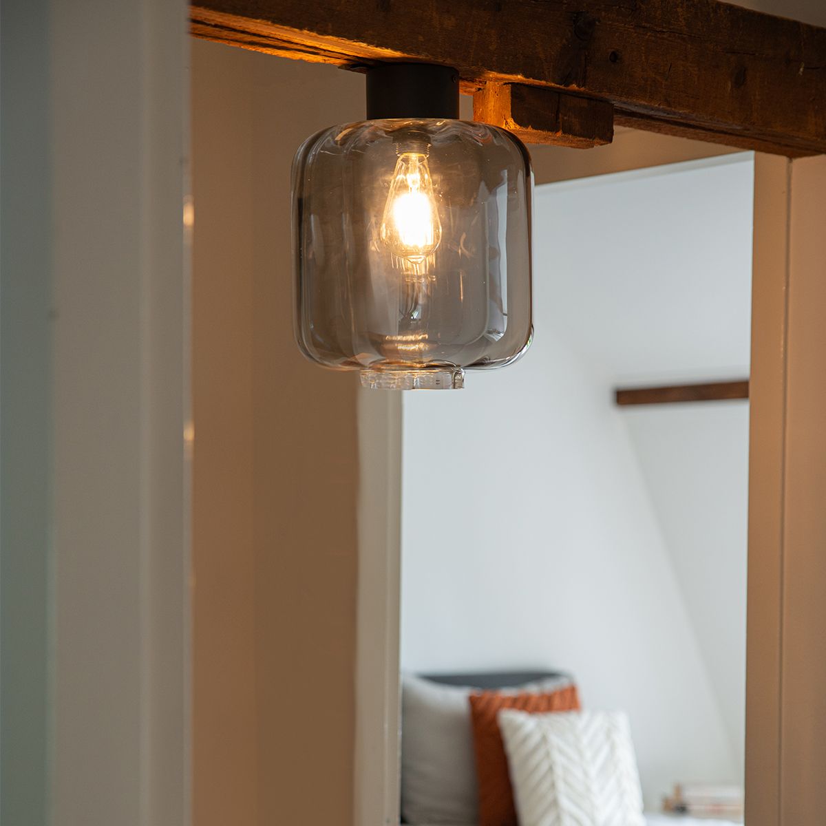 Design plafondlamp zwart met smoke glas - Qara