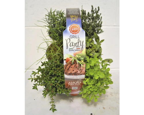 FloraSelf Mediterrane BBQ Kruidenmix 6 stuks Ø 9 cm pot 35 Jaar FloraSelf Jubileumeditie