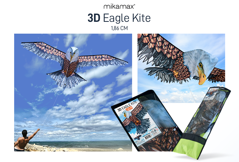 3D Eagle Kite