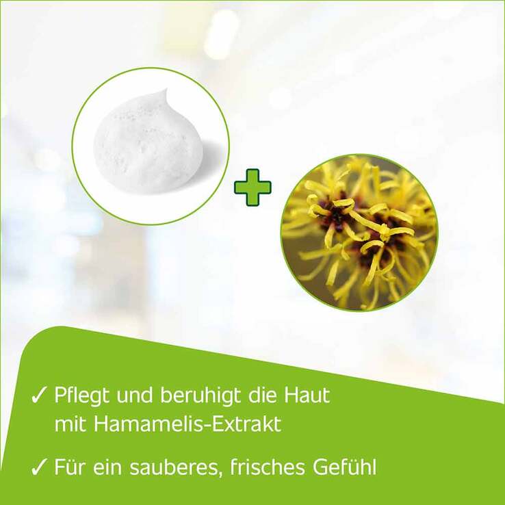Hametum Reinigungsschaum, 100 ml