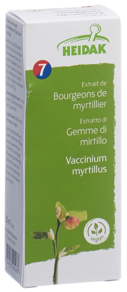 HEIDAK Knospe Heidelbeere Vaccinium myrtillus Glyc Maz Fl 30 ml