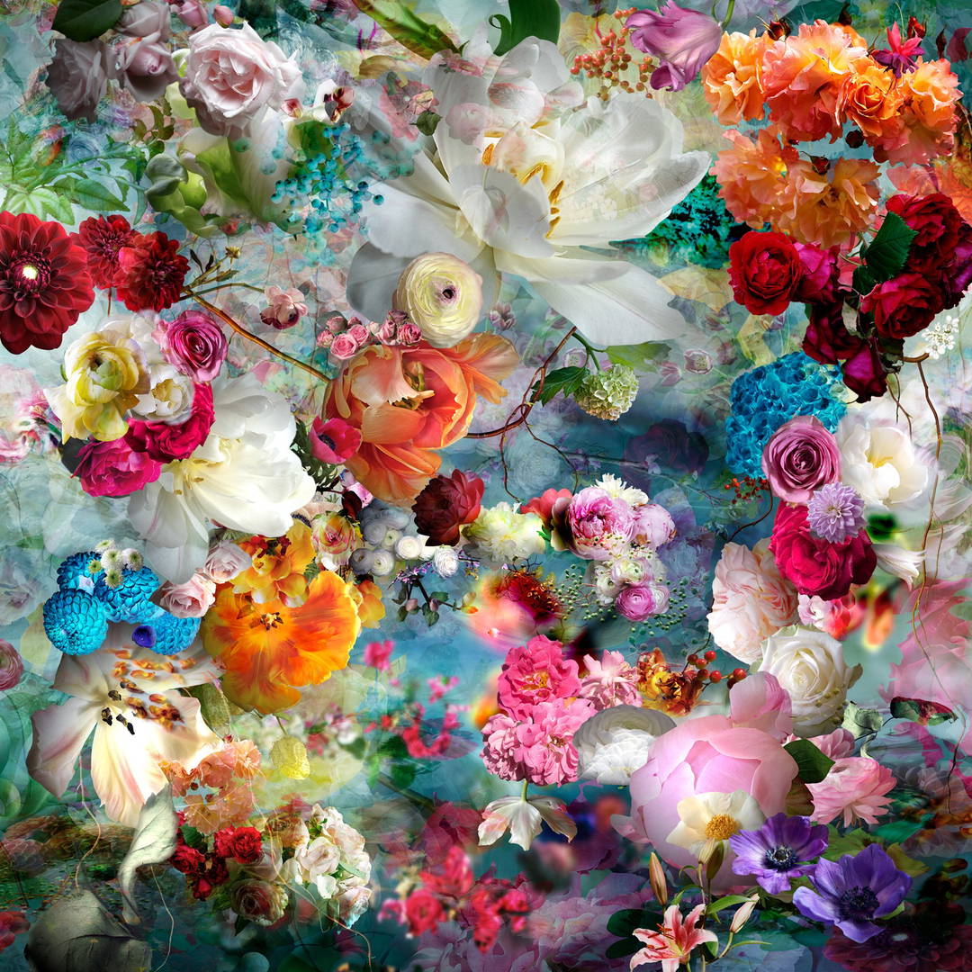 From a Dream 04 by Isabelle Menin - Limited Edition. Edition of: 150. Signed.