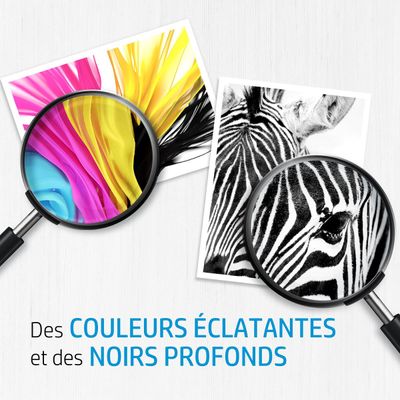 HP 980 - noir - cartouche d'encre originale (D8J10A)
